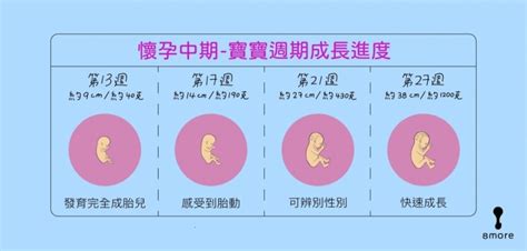 懷孕|【懷孕週期症狀】新手媽咪必讀！40週寶寶成長進度、。